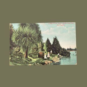 10/$25 Vintage Blank California Golden Gate Park Postcard “A Mid Winter Scene"